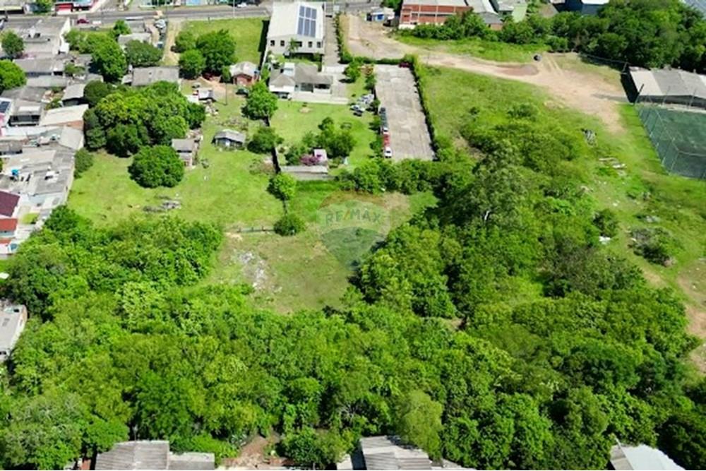 Terreno - Venda - Sapucaia do Sul , Rio Grande do Sul - IMG_9091.JPG - 610241017-80