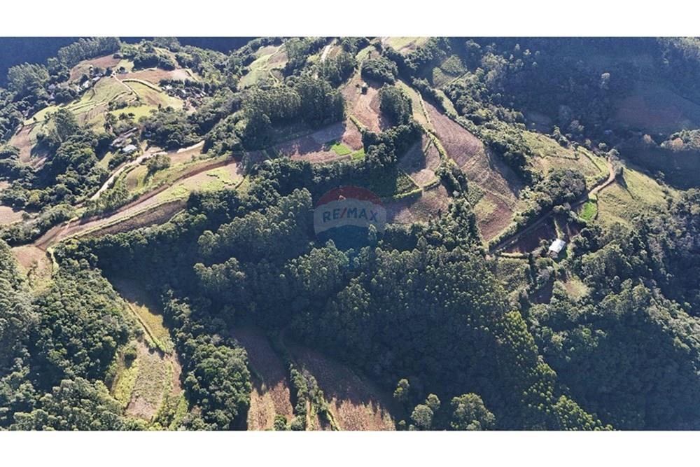 Chácara / Sítio / Fazenda - Venda - Santa Cruz do Sul , Rio Grande do Sul - IMG-20250731-WA0008.jpg - 612741028-54