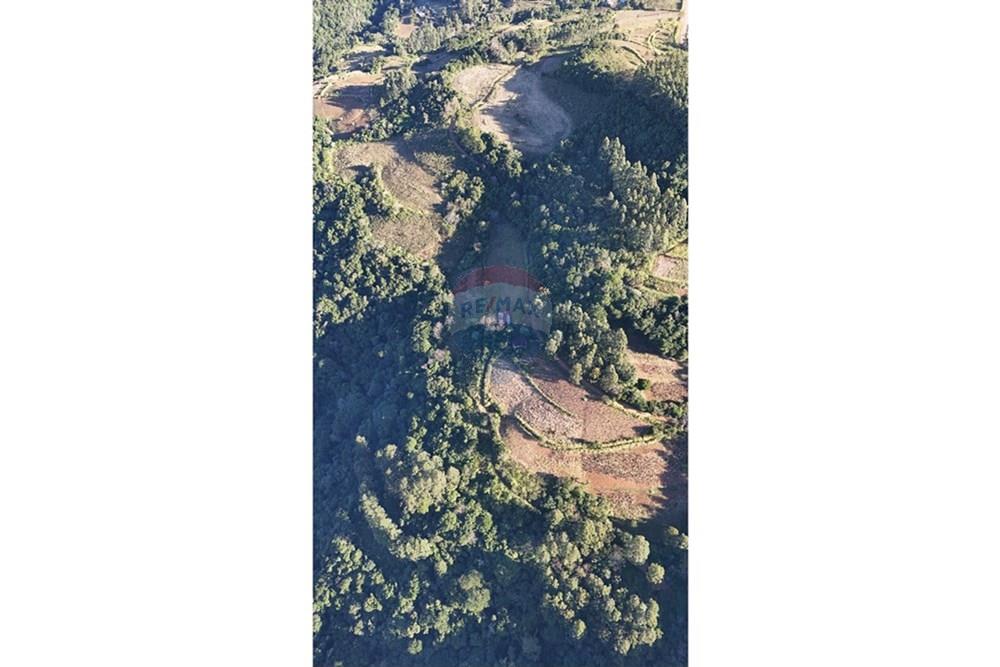 Chácara / Sítio / Fazenda - Venda - Santa Cruz do Sul , Rio Grande do Sul - IMG-20250731-WA0007.jpg - 612741028-54