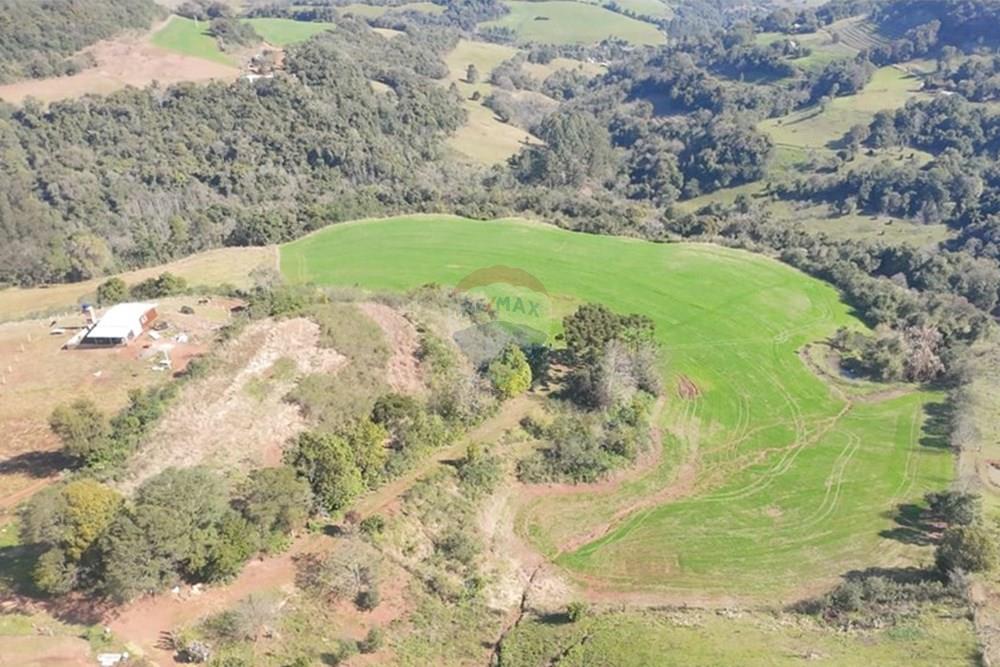 Chácara / Sítio / Fazenda - Venda - Trindade do Sul , Rio Grande do Sul - IMG-20250814-WA0079.jpg - 610231004-94