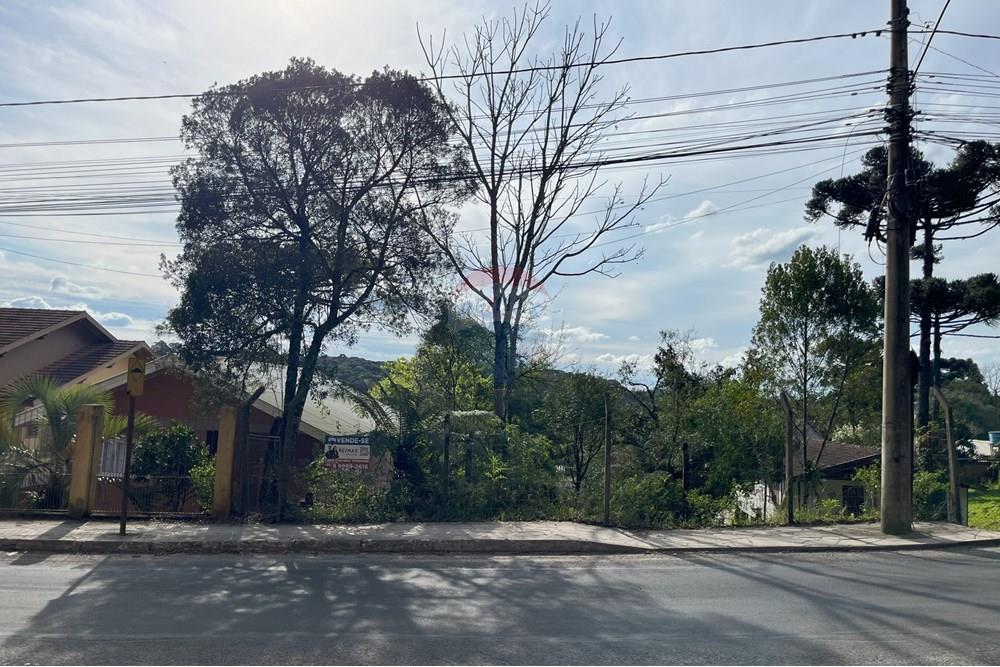 Terreno - Venda - Gramado , Rio Grande do Sul - IMG_4154.jpeg - 610131005-43