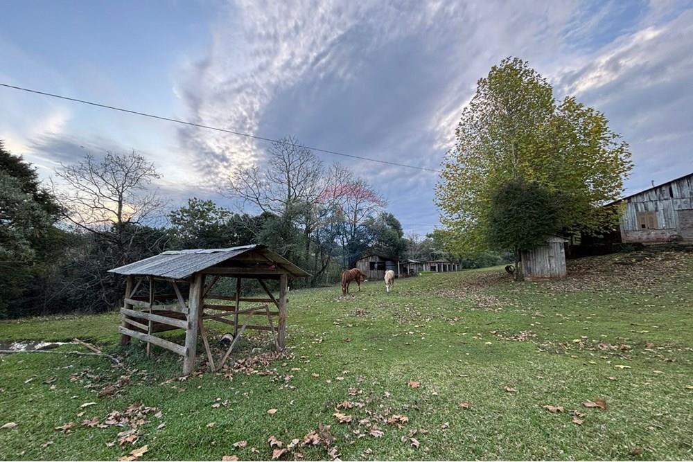 Chácara / Sítio / Fazenda - Venda - Sarandi , Rio Grande do Sul - WhatsApp Image 2025-06-06 at 17.20.42 (1).jpeg - 610341006-377