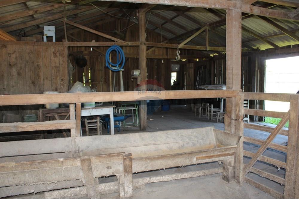 Casa de Campo - Venda - Santo Antônio da Patrulha , Rio Grande do Sul - IMG_3259.JPG - 610161090-7