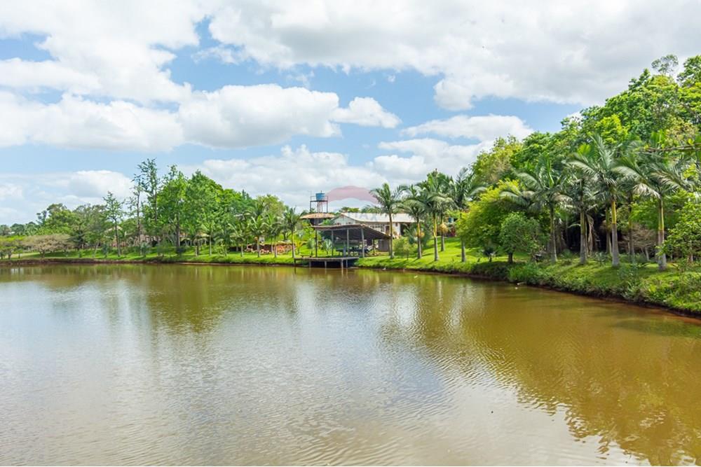 Terreno - Venda - Gravataí , Rio Grande do Sul - _DSC4963.jpg - 610161057-39
