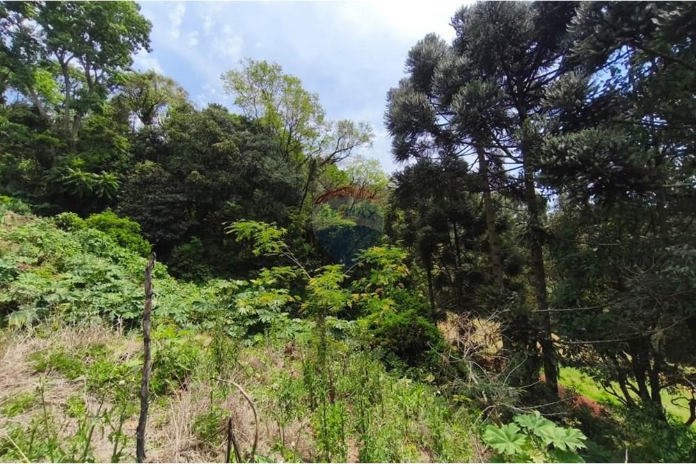 Terreno - Venda - São Valentim , Rio Grande do Sul - WhatsApp Image 2025-10-11 at 13.51.05 (1).jpeg - Fachada - 612761006-54