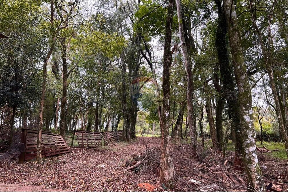 Chácara / Sítio / Fazenda - Venda - Passo Fundo , Rio Grande do Sul - 27.jpeg - 610271019-88