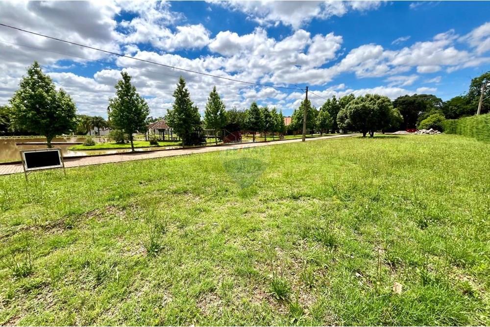 Terreno - Venda - Lagoa dos Três Cantos , Rio Grande do Sul - WhatsApp Image 2024-11-06 at 13.49.49.jpeg - 610271058-104