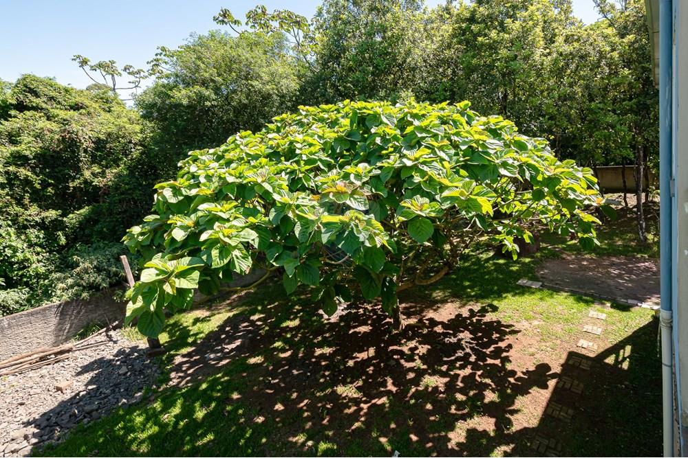 Casa - Venda - Novo Hamburgo , Rio Grande do Sul - DSC_8564-11 (2).jpg - 610261015-47