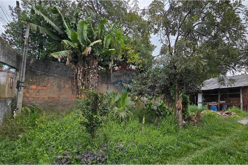 Terreno - Venda - Cachoeirinha , Rio Grande do Sul - WhatsApp Image 2025-06-14 at 14.51.23.jpeg - 610381039-873