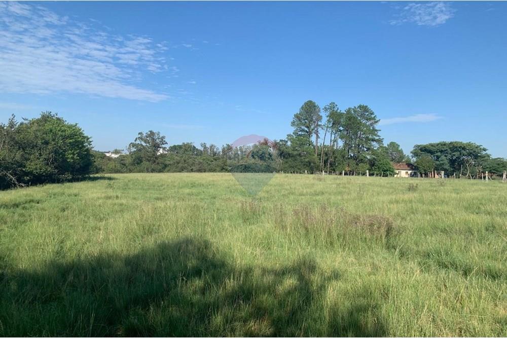 Chácara / Sítio / Fazenda - Venda - Santa Cruz do Sul , Rio Grande do Sul - WhatsApp Image 2025-03-12 at 21.10.30.jpeg - 612741028-22