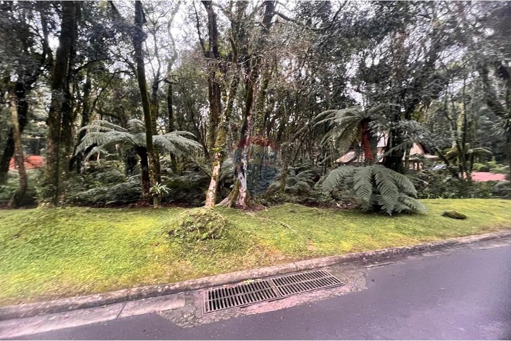 Terreno - Venda - Gramado , Rio Grande do Sul - WhatsApp Image 2024-12-12 at 06.37.30 (10).jpeg - 610131034-40