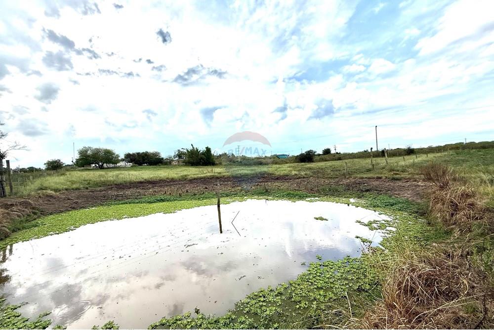 Chácara / Sítio / Fazenda - Venda - São Gabriel , Rio Grande do Sul - Imagem do WhatsApp de 2025-02-26 à(s) 22.07.16_a132038d.jpg - 612631046-2