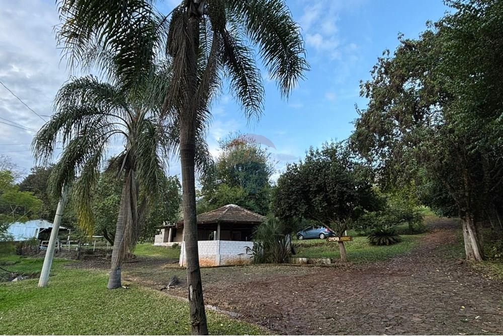 Chácara / Sítio / Fazenda - Venda - Sarandi , Rio Grande do Sul - WhatsApp Image 2025-06-06 at 17.20.44.jpeg - 610341006-377