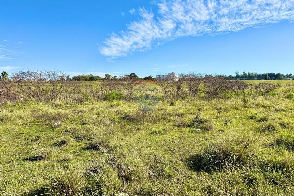 Terreno - Venda - São Gabriel , Rio Grande do Sul - 160a8c06-3fe3-47b9-b87b-39a973a96f00.jpeg - 612631037-8