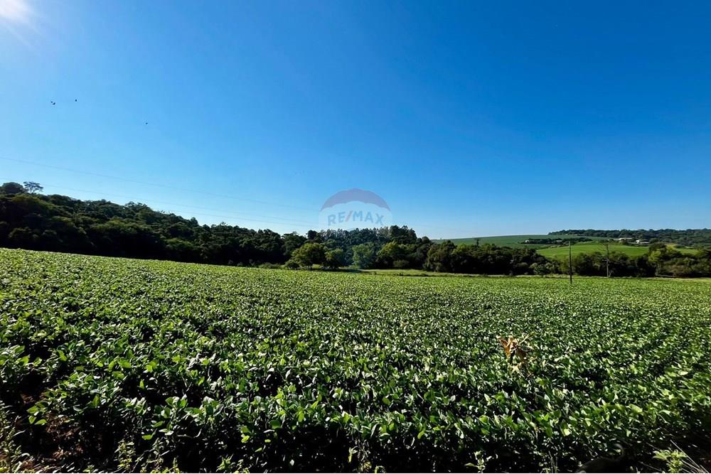 Chácara / Sítio / Fazenda - Venda - Não-Me-Toque , Rio Grande do Sul - WhatsApp Image 2025-01-20 at 20.18.04.jpeg - 610271058-70