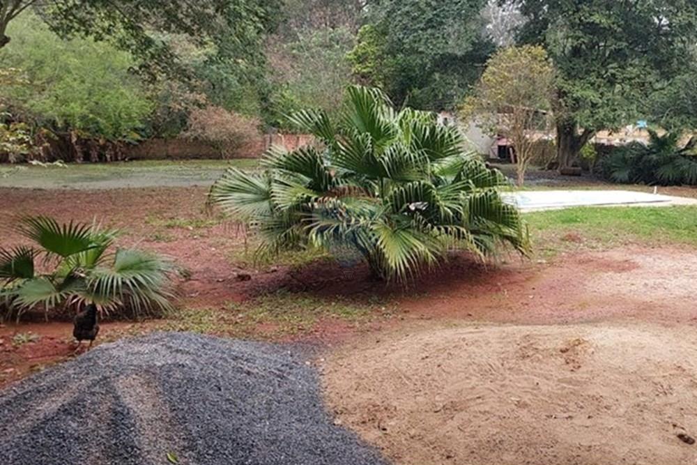 Chácara / Sítio / Fazenda - Venda - Cachoeirinha , Rio Grande do Sul - WhatsApp Image 2025-10-14 at 12.34.29 (2).jpeg - 612551074-25