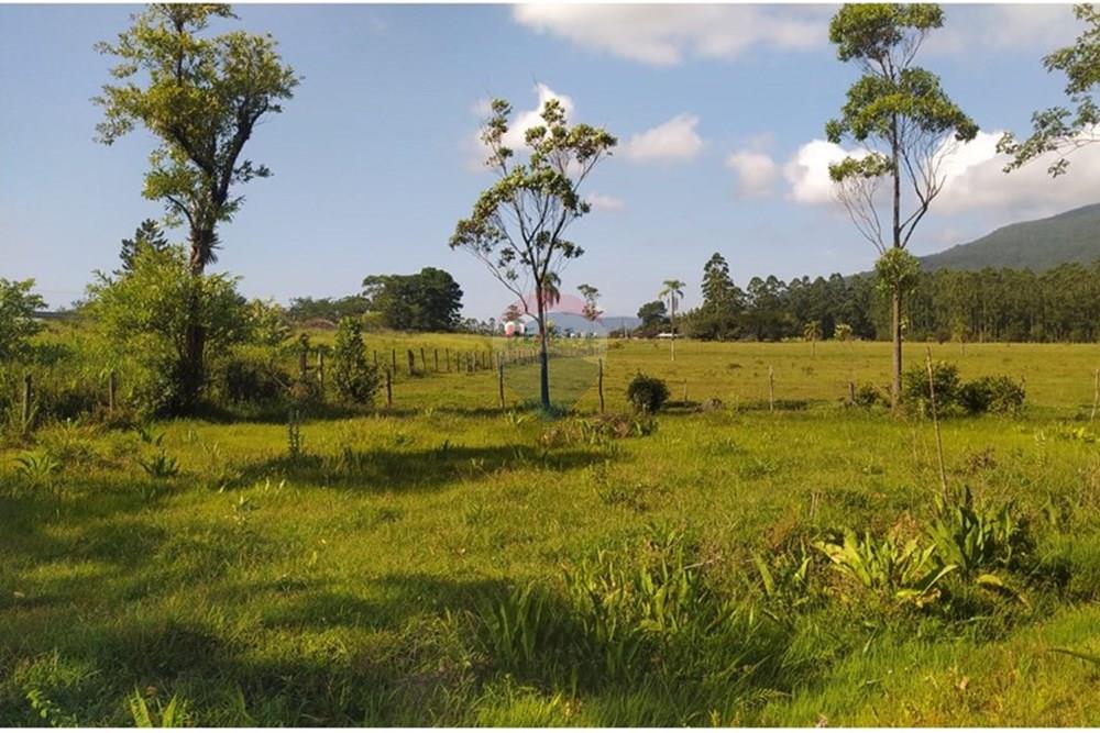 Terreno - Venda - Terra de Areia , Rio Grande do Sul - e45410bf-3456-48e2-9d08-7caa270c5355.jpg - 612671028-42