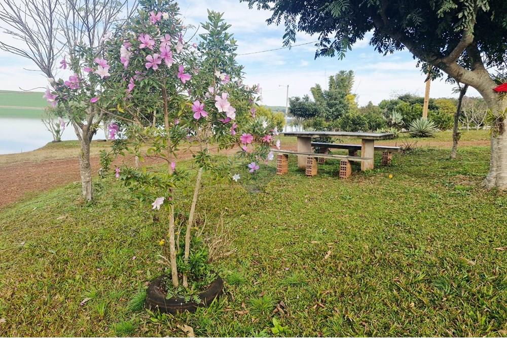 Terreno - Venda - Trindade do Sul , Rio Grande do Sul - IMG-20250801-WA0047.jpg - 610231029-107