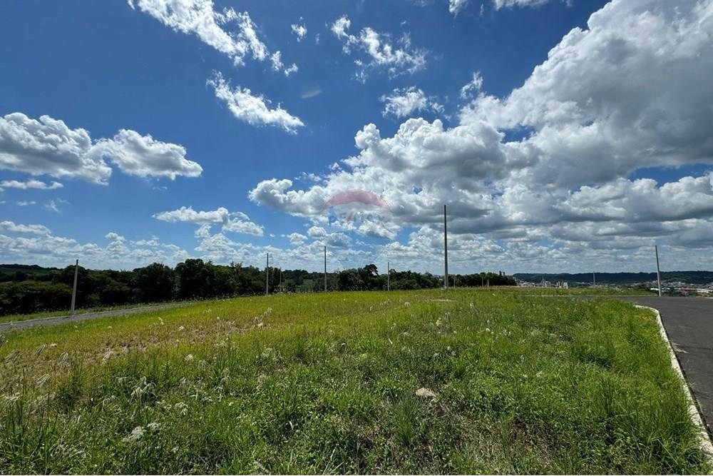 Terreno - Venda - Sarandi , Rio Grande do Sul - WhatsApp Image 2025-02-05 at 15.38.23.jpeg - 610341006-336