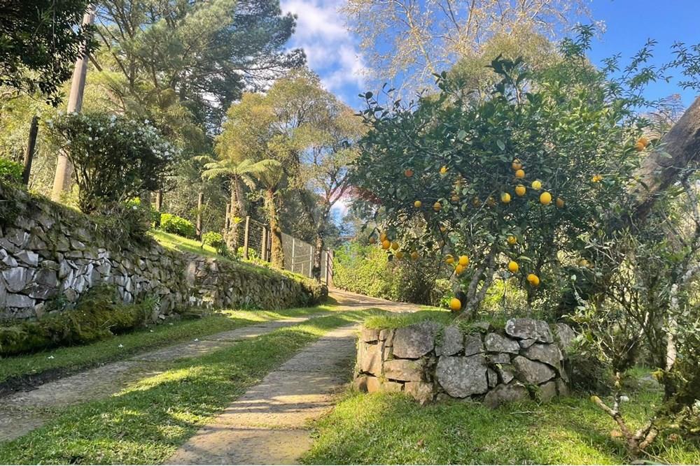 Casa - Venda - São Francisco de Paula , Rio Grande do Sul - 8c12401c-51c3-4dbf-98a5-46a8c556a6cb.JPG - 610131051-1