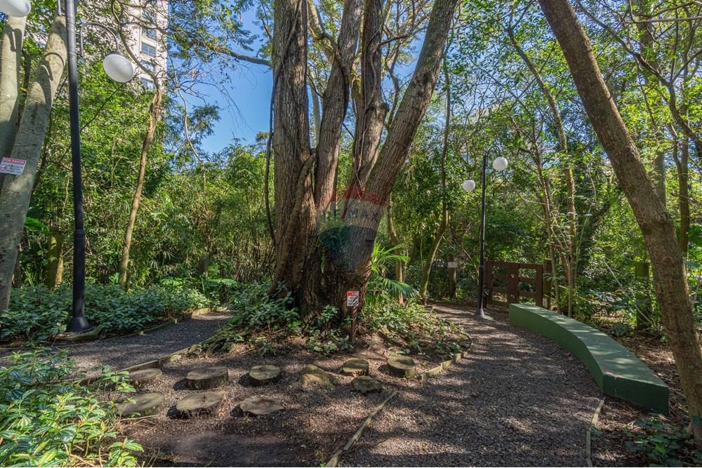 Apartamento - Venda - Porto Alegre , Rio Grande do Sul - DSC01684.jpg - 610371008-97