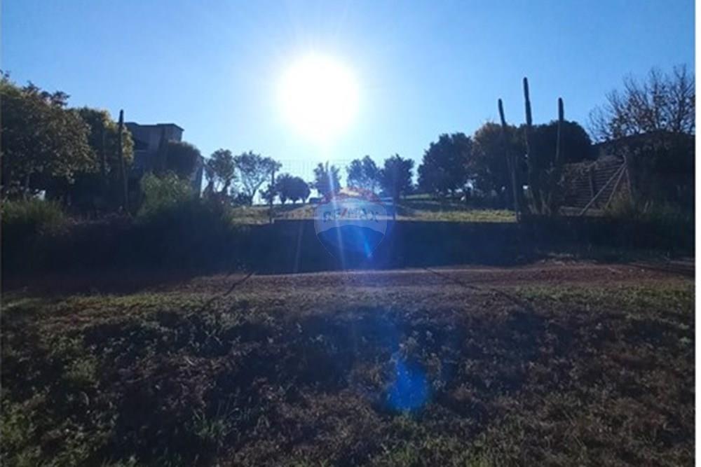 Terreno - Venda - Entre Rios do Sul , Rio Grande do Sul - WhatsApp Image 2025-09-10 at 00.53.04.jpeg - 610231035-3