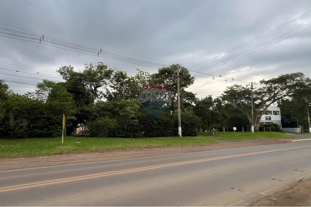 Chácara / Sítio / Fazenda - Venda - Glorinha , Rio Grande do Sul - IMG-20250403-WA0109.jpg - 610161100-29