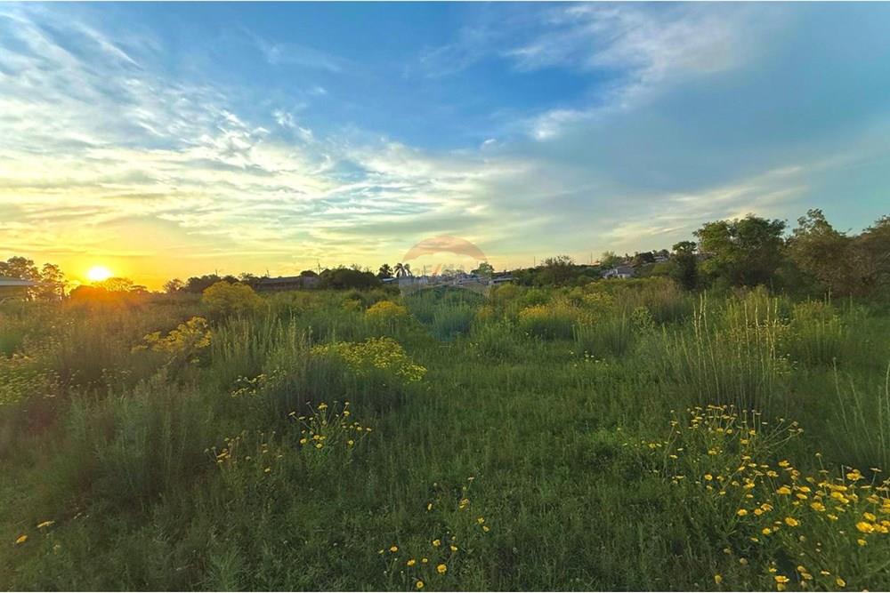 Terreno - Venda - São Gabriel , Rio Grande do Sul - WhatsApp Image 2025-10-24 at 10.48.24.jpeg - 612631001-66