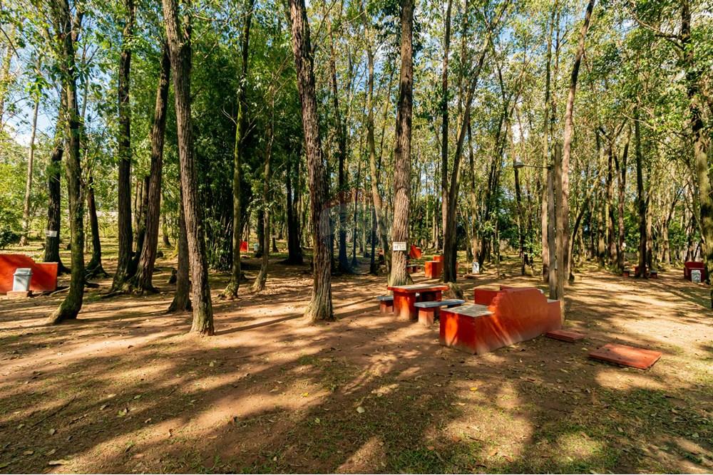 Casa de Condomínio - Venda - Viamão , Rio Grande do Sul - IMG_5946.jpg - 610221010-12