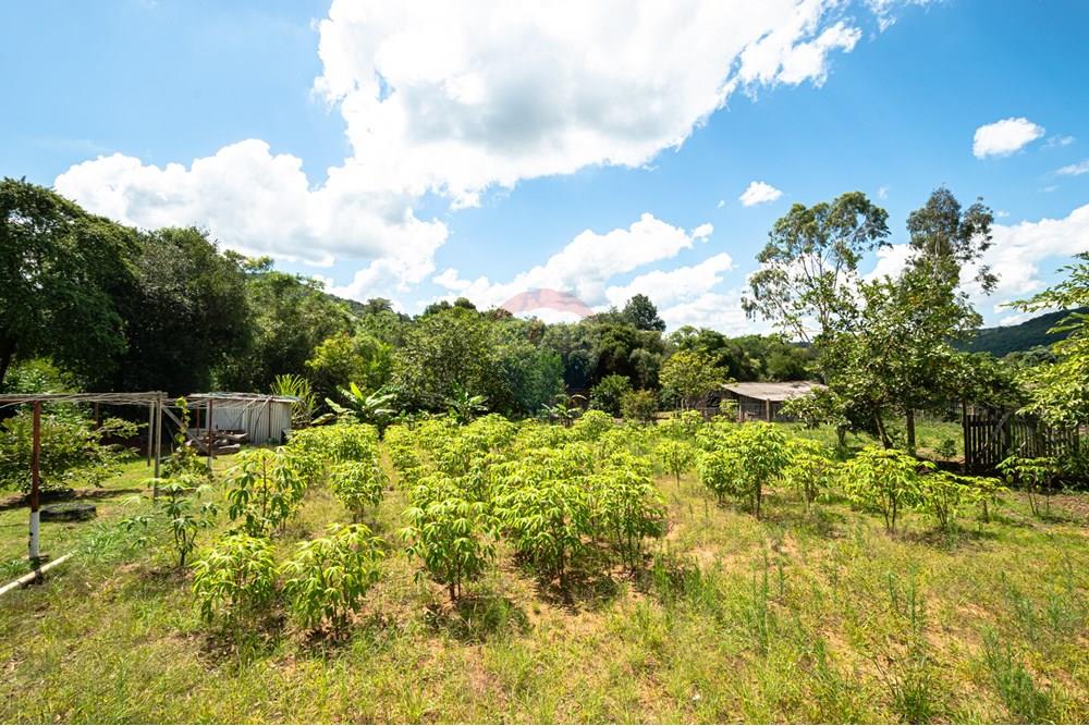 Chácara / Sítio / Fazenda - Venda - Novo Hamburgo , Rio Grande do Sul - DSC_3368.jpg - 610261015-33