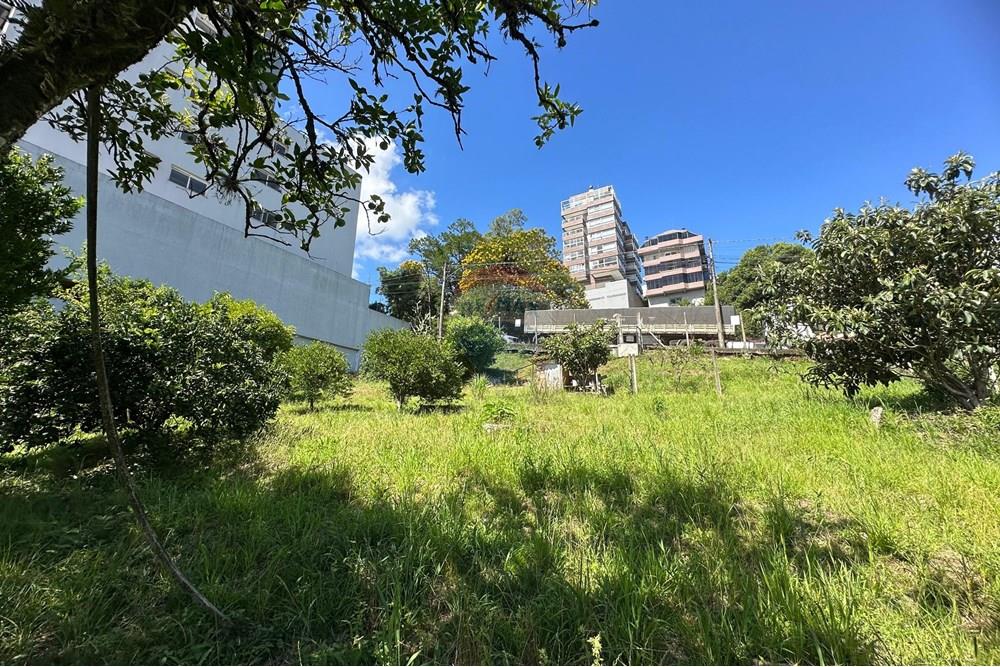 Terreno - Venda - Bento Gonçalves , Rio Grande do Sul - WhatsApp Image 2025-02-07 at 17.40.27 (1).jpeg - 610251006-59