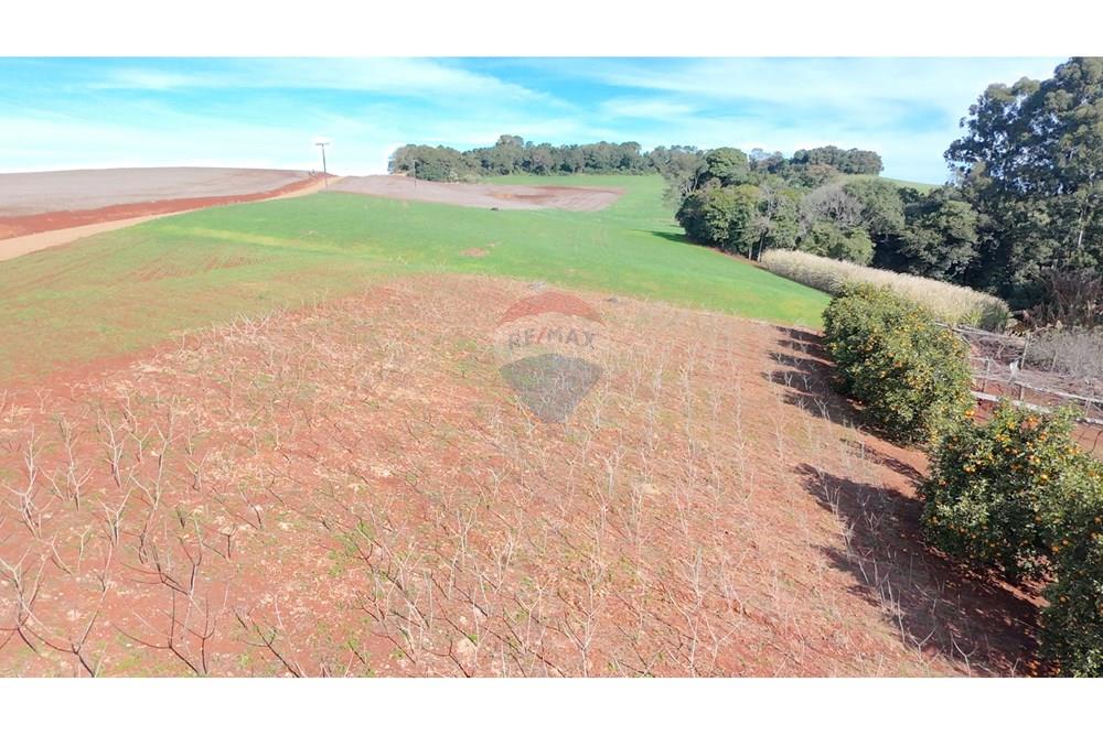 Chácara / Sítio / Fazenda - Venda - Nonoai , Rio Grande do Sul - 1000606539.jpg - 610231010-128