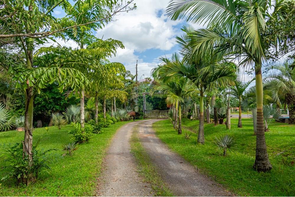 Terreno - Venda - Gravataí , Rio Grande do Sul - _DSC4969.jpg - 610161057-39