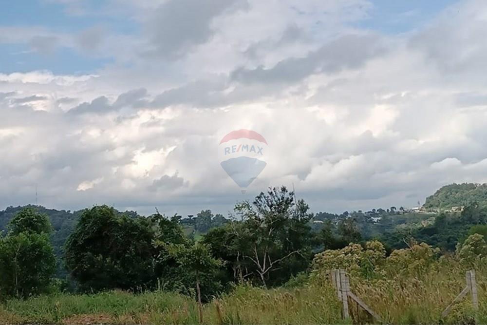 Terreno - Venda - Bento Gonçalves , Rio Grande do Sul - WhatsApp Image 2025-03-14 at 14.17.13.jpeg - 610331002-271
