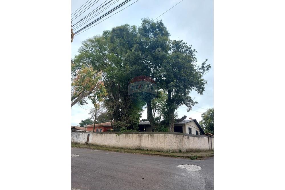 Terreno - Venda - Passo Fundo , Rio Grande do Sul - WhatsApp Image 2025-10-28 at 16.02.07.jpeg - 612721043-8