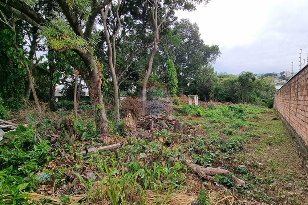 Terreno - Venda - Porto Alegre , Rio Grande do Sul - 20250424_152537.jpg - 610371008-98