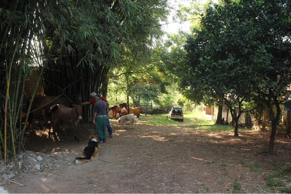 Industrial - Venda - Gravataí , Rio Grande do Sul - IMG_2204.JPG - 610161057-45