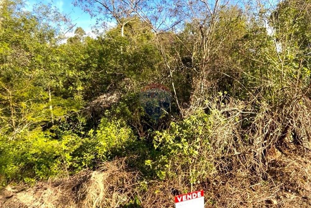 Terreno - Venda - Guaíba , Rio Grande do Sul - Imagem do WhatsApp de 2025-08-28 à(s) 16.10.23_9d5b74ad.jpg - 612781019-11