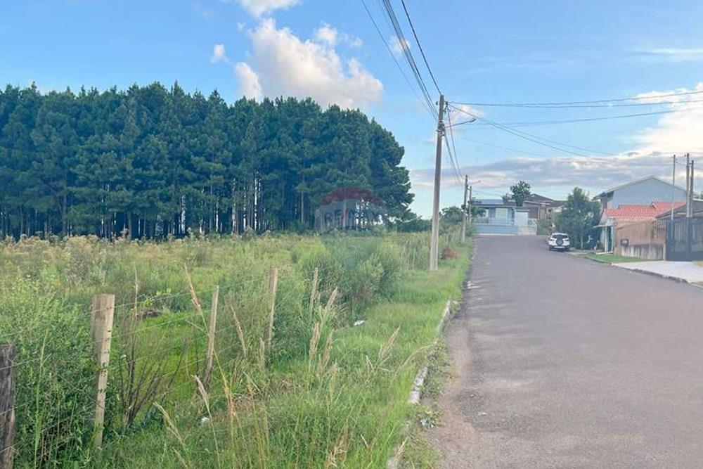 Terreno - Venda - Lagoa Vermelha , Rio Grande do Sul - 4.jpg - 610111005-110