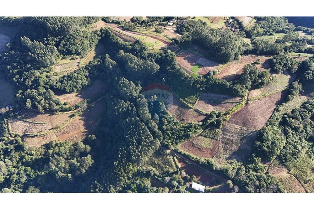 Chácara / Sítio / Fazenda - Venda - Santa Cruz do Sul , Rio Grande do Sul - IMG-20250731-WA0010.jpg - 612741028-54