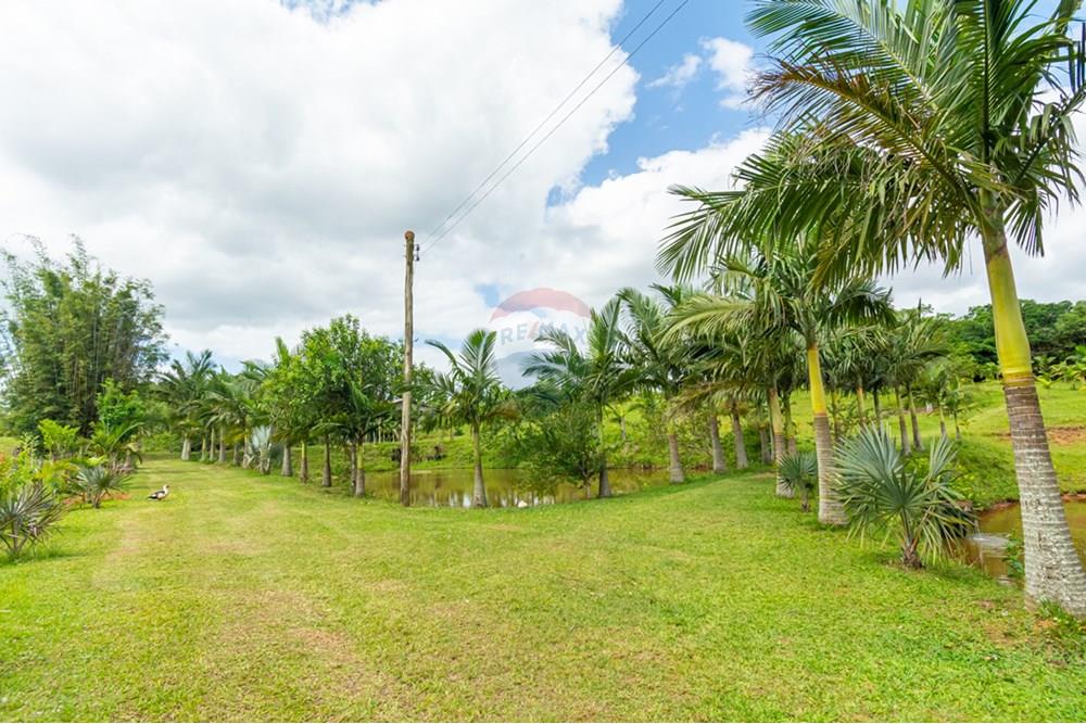 Terreno - Venda - Gravataí , Rio Grande do Sul - _DSC4960.jpg - 610161057-39