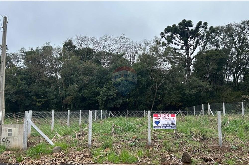 Terreno - Venda - Barão de Cotegipe , Rio Grande do Sul - WhatsApp Image 2025-08-09 at 14.34.16.jpeg - Fachada - 612761035-8