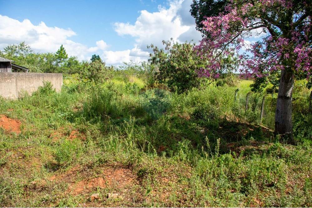 Industrial - Venda - Cachoeirinha , Rio Grande do Sul - WhatsApp Image 2025-02-14 at 16.49.22 (1).jpeg - 612551005-101