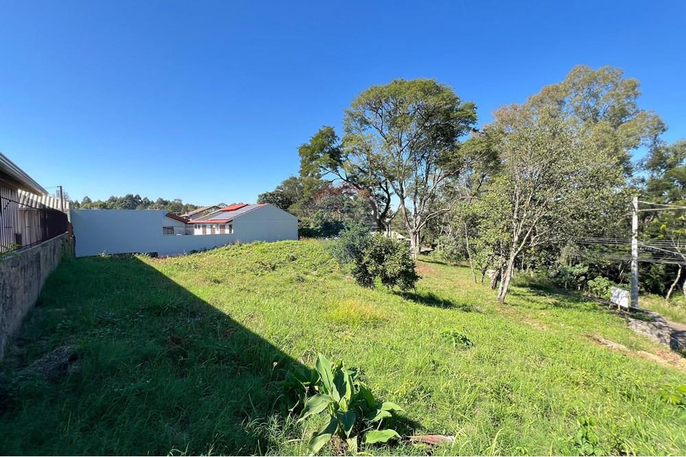 Terreno - Venda - Erechim , Rio Grande do Sul - IMG-20250606-WA0115.jpg - 612761001-45