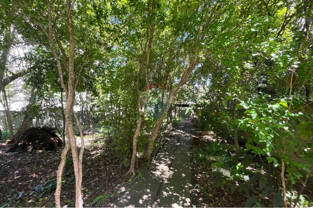 Casa - Venda - Santa Cruz do Sul , Rio Grande do Sul - WhatsApp Image 2025-10-21 at 19.11.30 (1).jpeg - 612741028-39