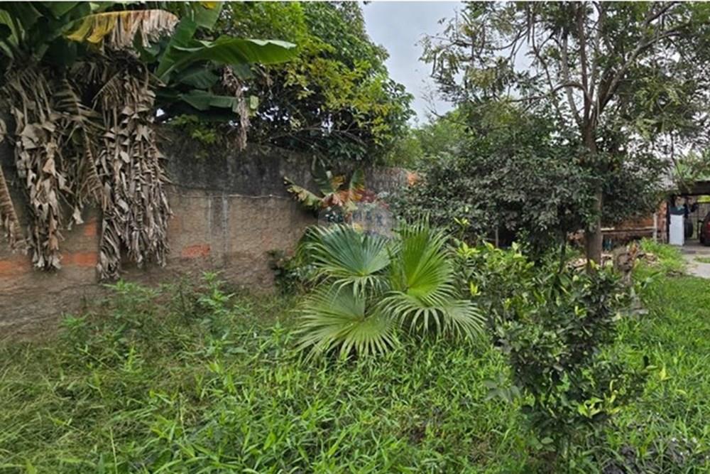 Terreno - Venda - Cachoeirinha , Rio Grande do Sul - WhatsApp Image 2025-06-14 at 14.51.21 (3).jpeg - 610381039-873