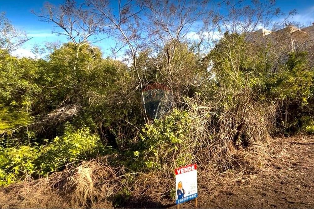 Terreno - Venda - Guaíba , Rio Grande do Sul - Imagem do WhatsApp de 2025-08-28 à(s) 16.10.22_ac54e39a.jpg - 612781019-11