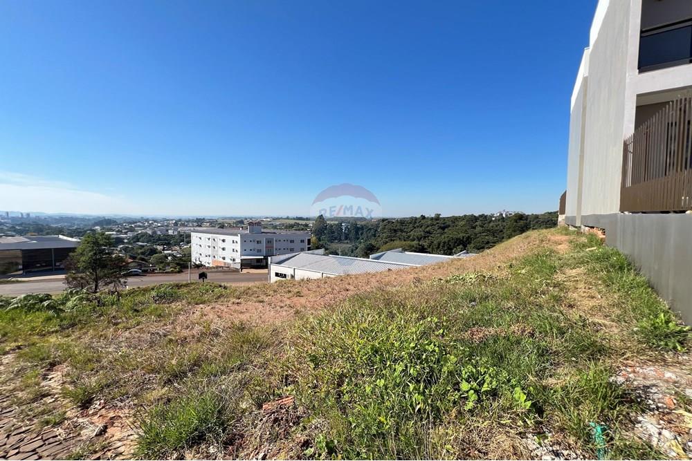 Terreno - Venda - Erechim , Rio Grande do Sul - IMG_7372.JPEG - 612761016-58