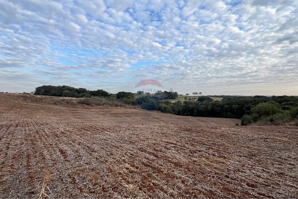 Fazenda - Venda - Lagoa Vermelha , Rio Grande do Sul - IMG_2567.jpg - 610111017-1