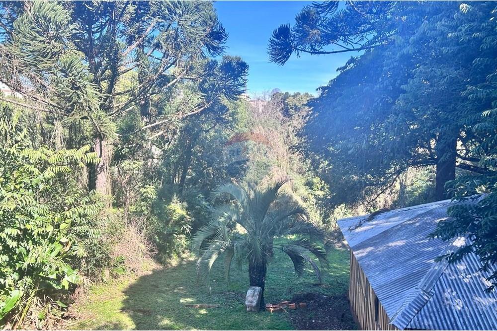 Terreno - Venda - Carazinho , Rio Grande do Sul - FOTO 3 CASA VANILDE GRESPAN.jpeg - 612701054-13